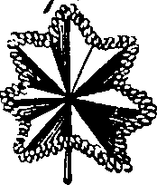 068/068870010205910_0.png