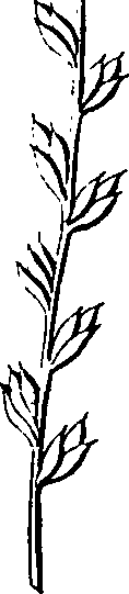068/068870010205910_4.png