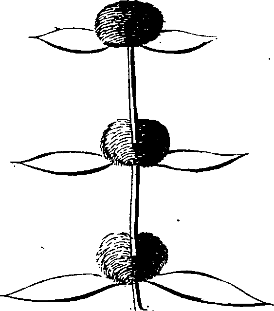 068/068870010205910_5.png