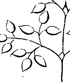 068/068870010205940_1.png