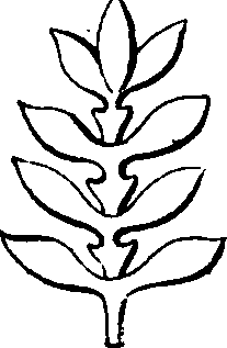068/068870010205940_3.png