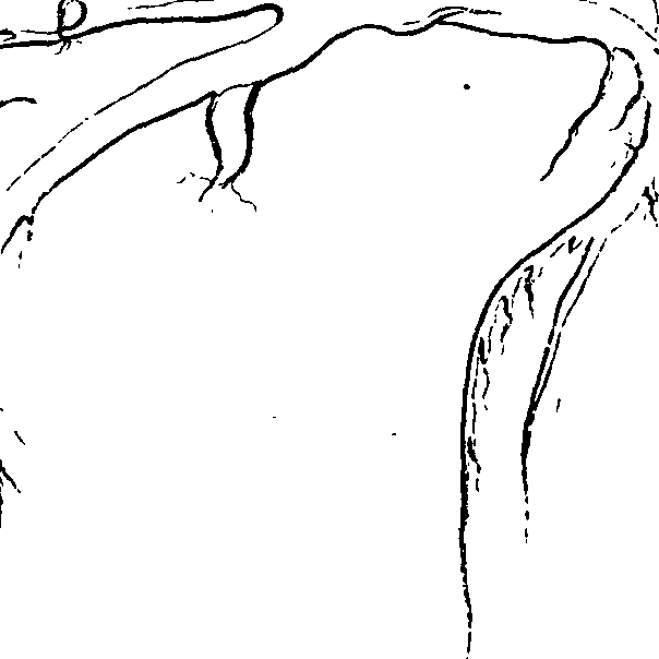 068/068870010205960_0.png