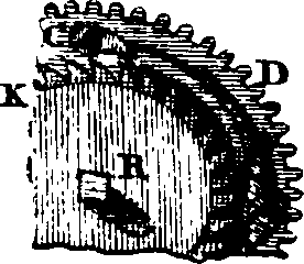 068/068880010304980_6.png