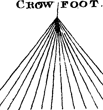 068/068880010305440_2.png