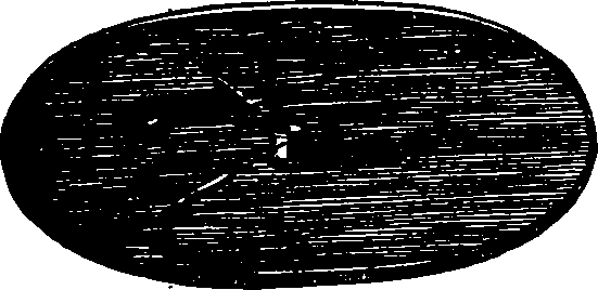 068/068880010306550_0.png