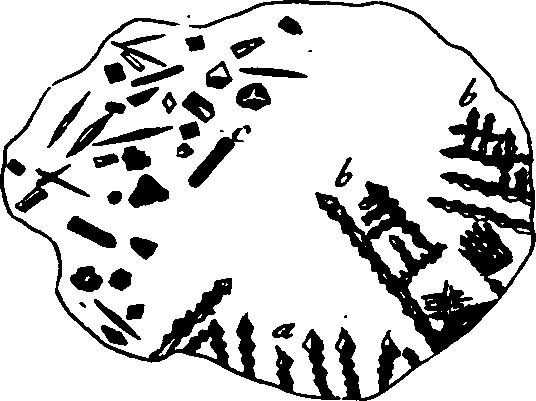 068/068880010308210_3.png