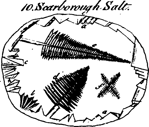 068/068880010308210_5.png