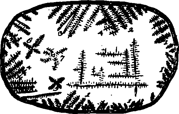 068/068880010308210_6.png
