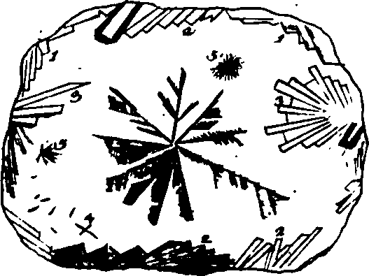 068/068880010308210_9.png