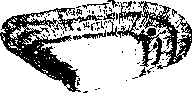 068/068890010400430_0.png