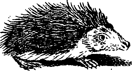 068/068890010403760_0.png