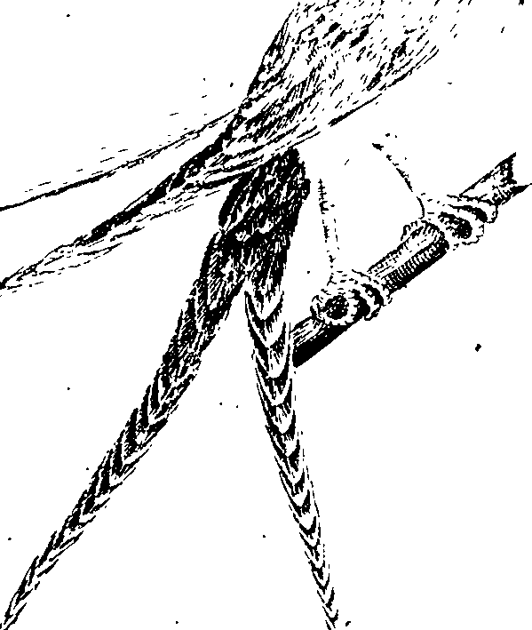 068/068890010405760_0.png