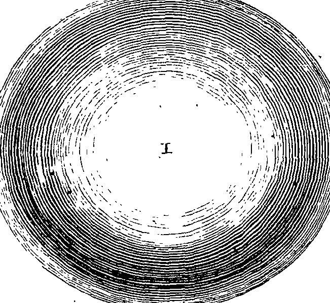 068/068900010500670_0.png