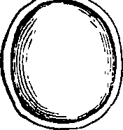 068/068900010504900_6.png