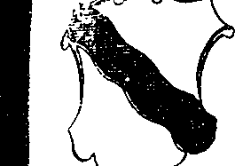 068/068900010505000_6.png