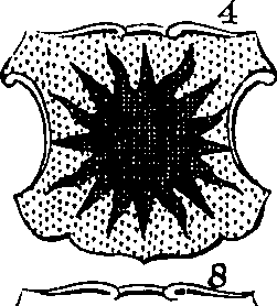 068/068900010505070_1.png