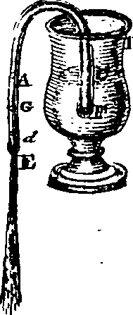 068/068900010506970_1.png