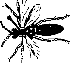 068/068900010507060_0.png