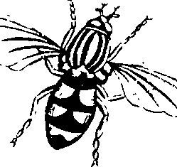 068/068900010507060_1.png