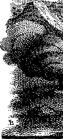 068/068900010507540_1.png