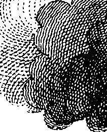 068/068900010507540_3.png