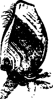 068/068910010600620_0.png