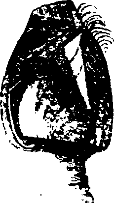068/068910010600620_1.png