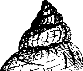 068/068920010701520_0.png