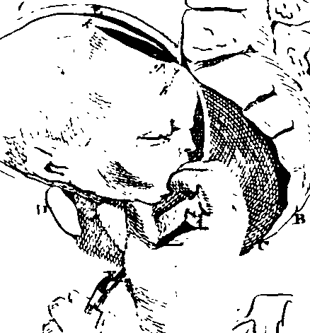 068/068920010702040_0.png