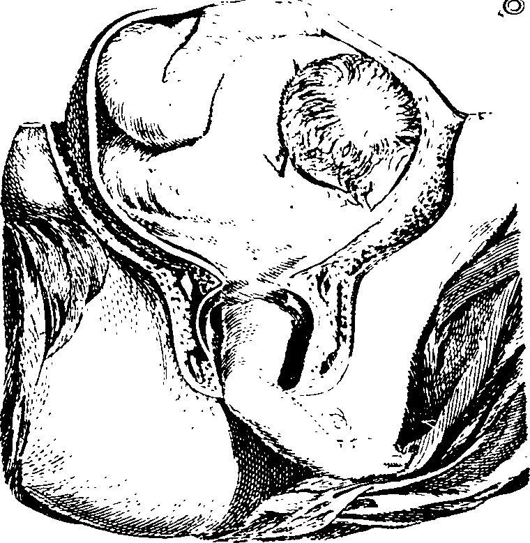 068/068920010702040_1.png