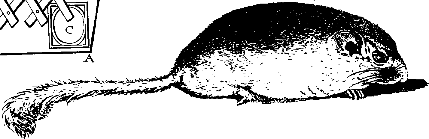 068/068920010704540_0.png