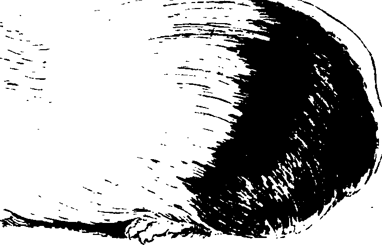 068/068920010704540_3.png