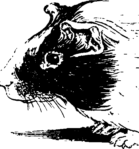068/068920010704540_4.png