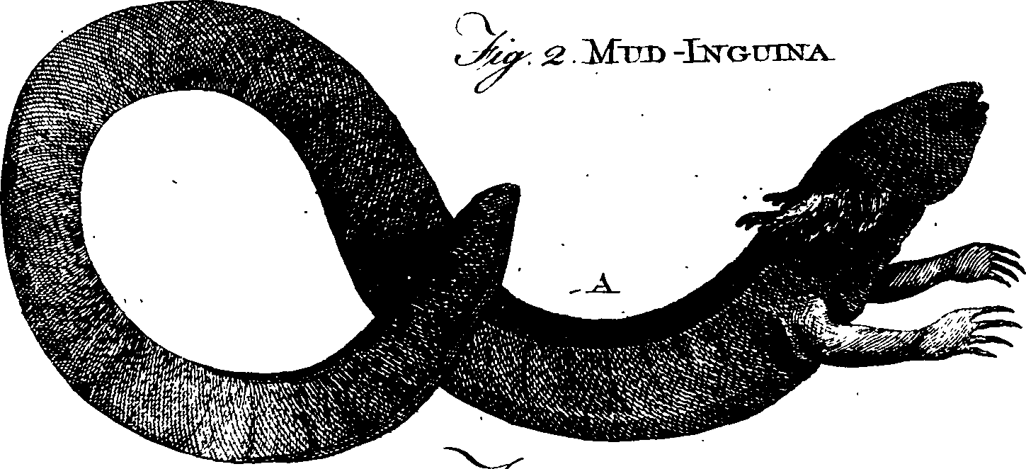 068/068920010704660_1.png