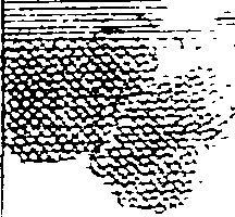 068/068920010706130_2.png