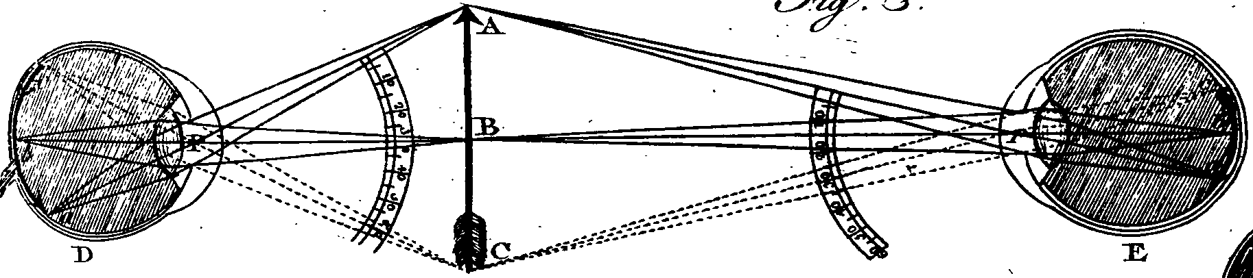 068/068920010708450_1.png