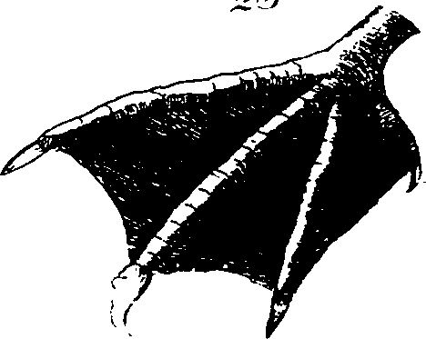 068/068930010802240_0.png