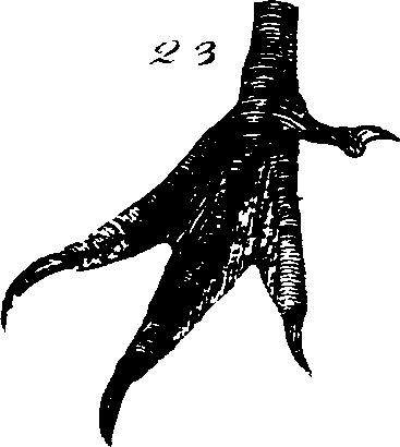 068/068930010802240_1.png