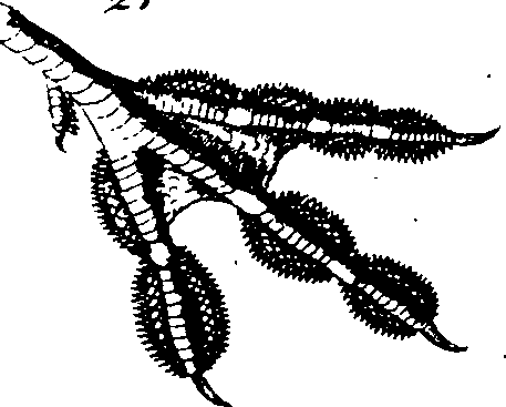 068/068930010802240_2.png