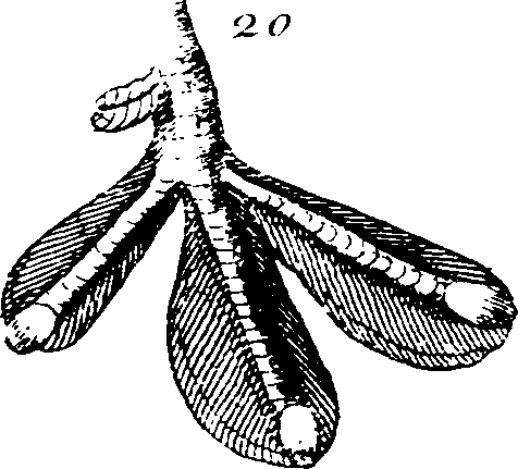 068/068930010802240_3.png