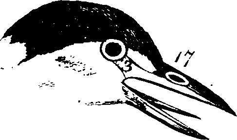 068/068930010802240_4.png