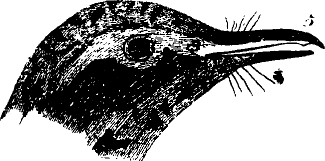 068/068930010802240_6.png