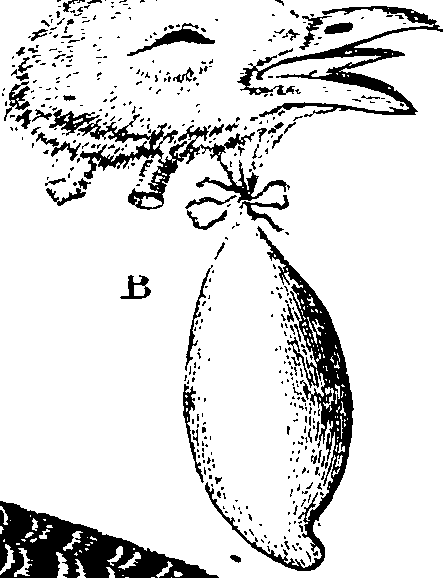 068/068930010802270_0.png