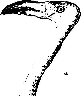 068/068930010804530_1.png