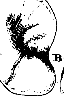 068/068930010806830_2.png