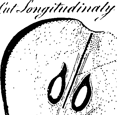 068/068930010806880_0.png
