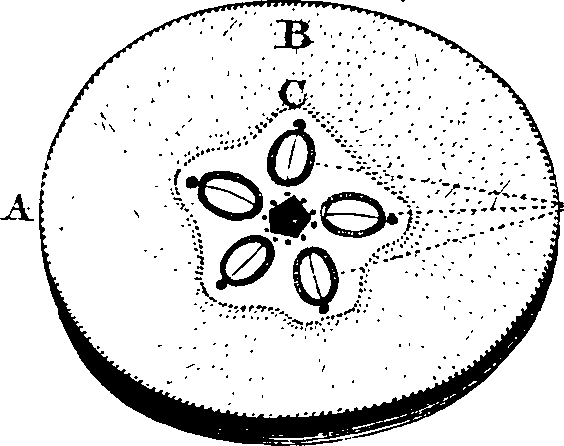 068/068930010806880_1.png