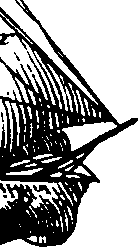 068/068940010906020_0.png