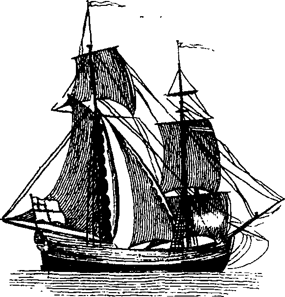 068/068950011000800_2.png