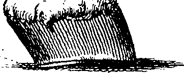 068/068950011000930_1.png